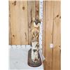 Image 1 : Grey Fox Full Body Taxidermy Mount