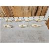 Image 2 : 7 Coyote Skulls Taxidermy