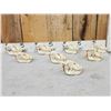 Image 1 : 8 Beaver Skulls Taxidermy