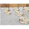 Image 3 : 8 Beaver Skulls Taxidermy