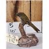 Image 3 : Female Sierra Finch Full Body Bird Taxidermy