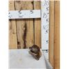 Image 3 : Baby Beaver Relaxing On Driftwood Taxidermy Mount