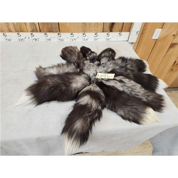 10 Silver Ranch Fox Tails Taxidermy