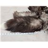 Image 3 : 10 Silver Ranch Fox Tails Taxidermy