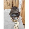 Image 4 : XL Alligator Head Taxidermy