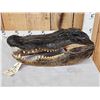 Image 5 : XL Alligator Head Taxidermy