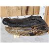 Image 5 : XL Alligator Head Taxidermy