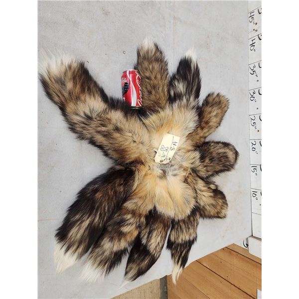 10 Cross Ranch Fox Tails Taxidermy