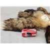 Image 2 : 10 Cross Ranch Fox Tails Taxidermy