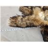 Image 3 : 10 Cross Ranch Fox Tails Taxidermy