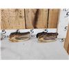 Image 2 : 6 Alligator Heads Taxidermy