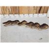Image 6 : 6 Alligator Heads Taxidermy