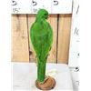 Image 6 : Eclectus Parrot Full Body Bird Taxidermy