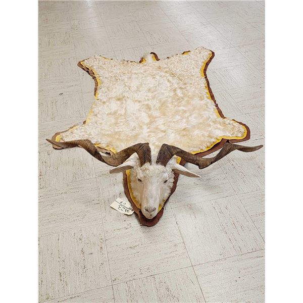 Unique Angora Goat Rug Taxidermy