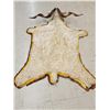 Image 4 : Unique Angora Goat Rug Taxidermy