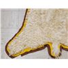 Image 7 : Unique Angora Goat Rug Taxidermy