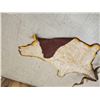 Image 9 : Unique Angora Goat Rug Taxidermy