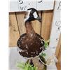 Image 2 : Eurasian Red Breasted Goose Full Body Bird Taxidermy