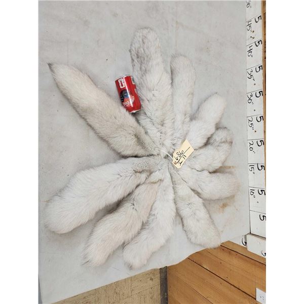 10 Blue Ranch Fox Tails Taxidermy