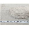 Image 4 : 10 Blue Ranch Fox Tails Taxidermy