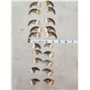 Image 1 : Set Of 20 Black Bear Claws Taxidermy