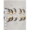 Image 2 : Set Of 20 Black Bear Claws Taxidermy