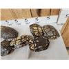 Image 2 : 10 Red Eared Slider Turtle Shells Taxidermy