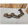 Image 5 : 10 Red Eared Slider Turtle Shells Taxidermy
