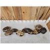 Image 5 : 10 Red Eared Slider Turtle Shells Taxidermy