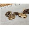 Image 8 : 10 Red Eared Slider Turtle Shells Taxidermy