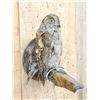 Image 3 : Eurasian Scops Owl Full Body Bird Taxidermy
