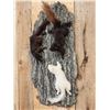 Image 2 : 3 Color Phase Squirrels Taxidermy