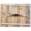 Image 2 : 71" Mounted Texas Longhorns Taxidermy