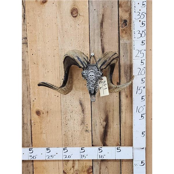 Hand Carved Ram Sheep Skull Taxidermy Artwork