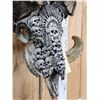 Image 4 : Hand Carved Ram Sheep Skull Taxidermy Artwork