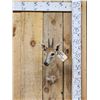 Image 1 : African Duiker Shoulder Mount Taxidermy