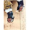 Image 5 : Dual Pheasant Harvest Mount Bird Taxidermy