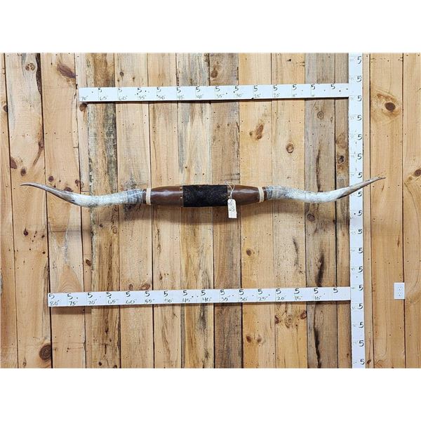 Monster 89" Wide Set Of Texas Longhorns Taxidermy