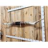 Image 2 : Monster 89" Wide Set Of Texas Longhorns Taxidermy