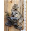 Image 4 : Bobcat Full Body Taxidermy Mount