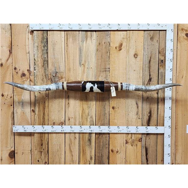 89" Wide Set Of Texas Longhorns Taxidermy