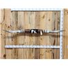 Image 1 : 89" Wide Set Of Texas Longhorns Taxidermy