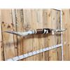 Image 4 : 89" Wide Set Of Texas Longhorns Taxidermy