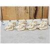 Image 1 : 8 Beaver Skulls Taxidermy