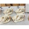 Image 2 : 8 Beaver Skulls Taxidermy