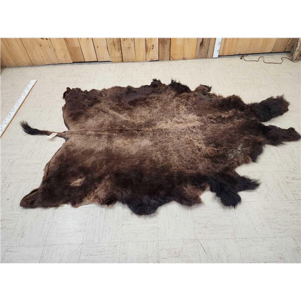Big Soft Tanned American Bison Buffalo Robe Taxidermy