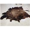 Image 3 : Big Soft Tanned American Bison Buffalo Robe Taxidermy
