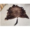 Image 4 : Big Soft Tanned American Bison Buffalo Robe Taxidermy