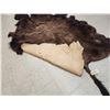Image 5 : Big Soft Tanned American Bison Buffalo Robe Taxidermy