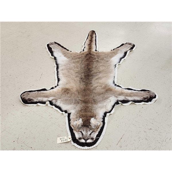 Gorgeous Mountain Lion Cougar Rug Taxidermy